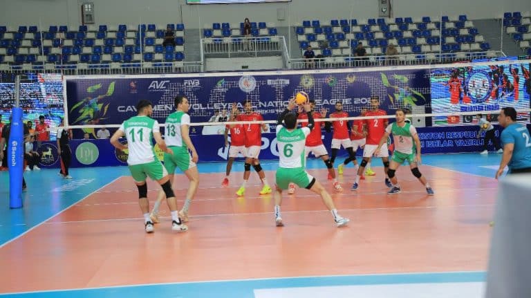 Volleyball