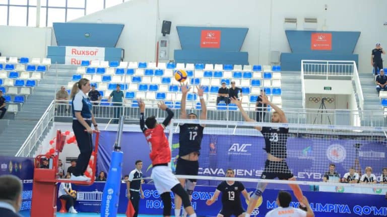 Volleyball